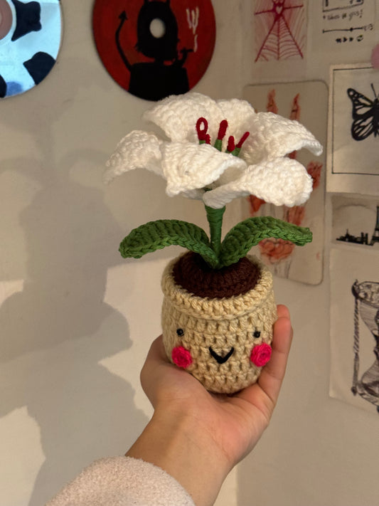 Lily Crochet Pot