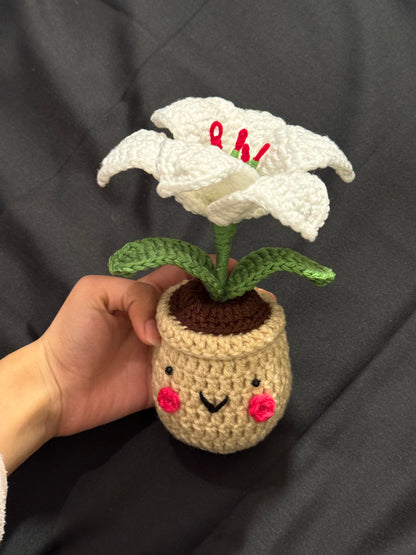 Lily Crochet Pot