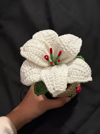 Lily Crochet Pot